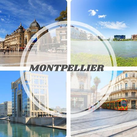 Le Calderini Appart - Face Plage Wifi Et Park Gratuit Calme - Resid Le Surcouf -Top Pros Servicesconciergerie La Grande Motte 外观 照片